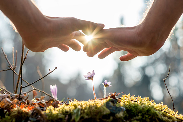 Integrating spiritual healing and psychological counseling offers a path to holistic healing, addressing emotional, mental, and spiritual well-being.